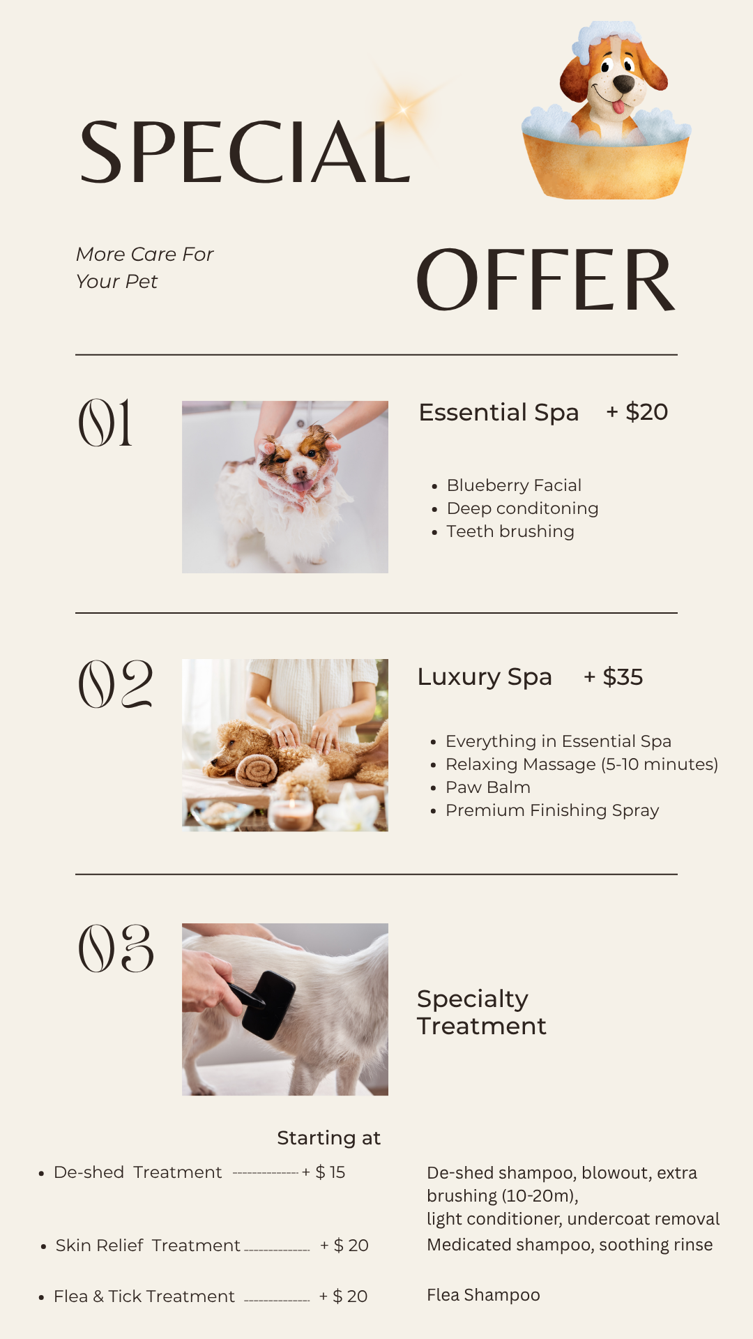Stella Tran Pet Grooming special spa offer flyer